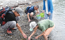 奥尻の宝を探せ！ビーチコーミング体験