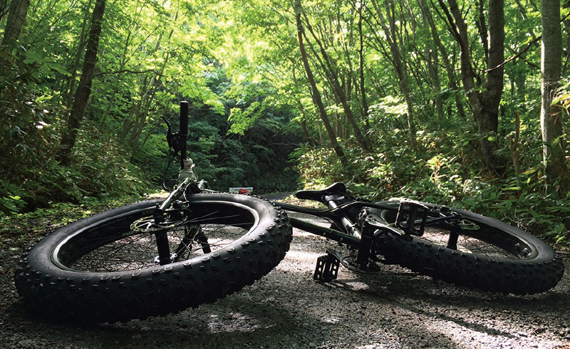 サイクリングの様子