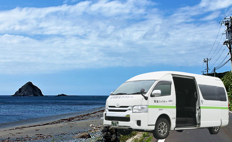 観光タクシー車両画像